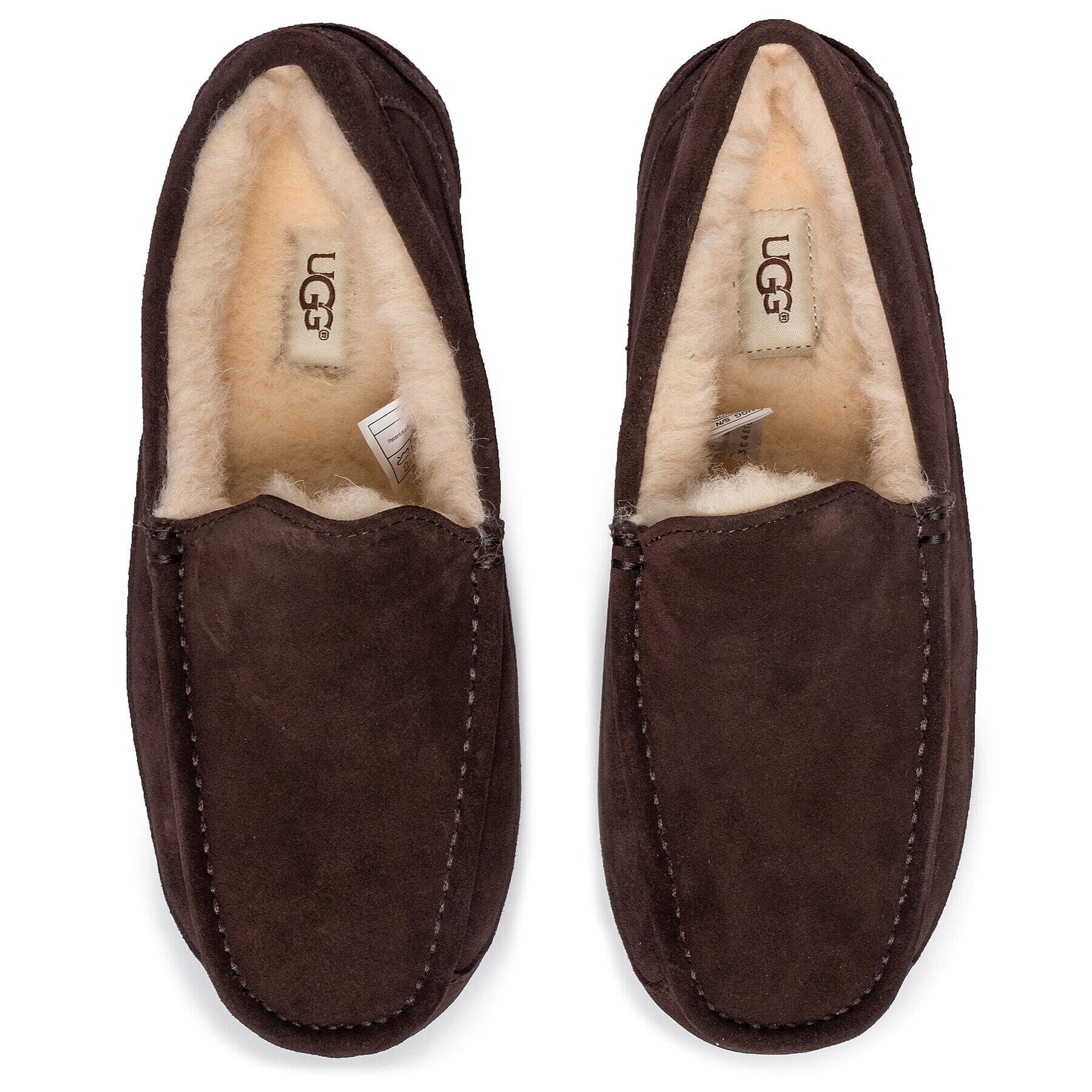 Ugg Bačkory M Ascot 1101110 Hnědá - Pepit.cz